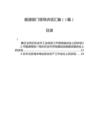 能源部门领导讲话汇编（3篇）