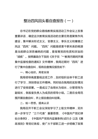 整治四风回头看自查报告（2篇）