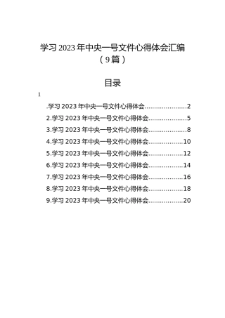 学习2023年中央一号文件心得体会汇编（9篇）