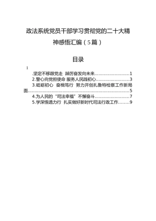 政法系统党员干部学习贯彻党的二十大精神感悟汇编（5篇）
