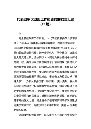 代表团审议政府工作报告时的发言汇编（12篇）