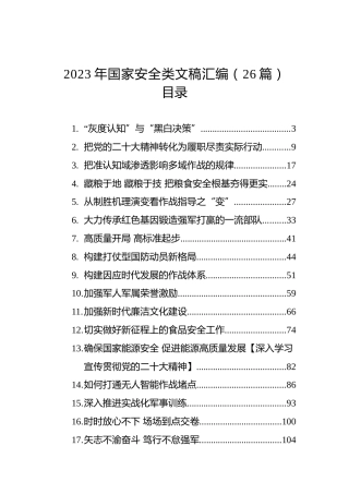 2023年国家安全类文稿汇编（26篇）