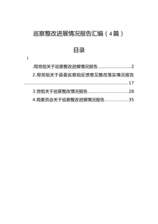 巡察整改进展情况报告汇编（4篇）