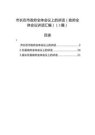 市长在市政府全体会议上的讲话（3篇）