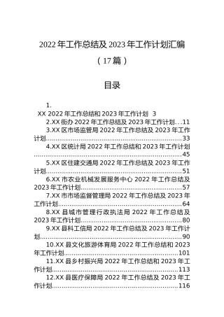 2022年工作总结及2023年工作计划汇编（17篇）