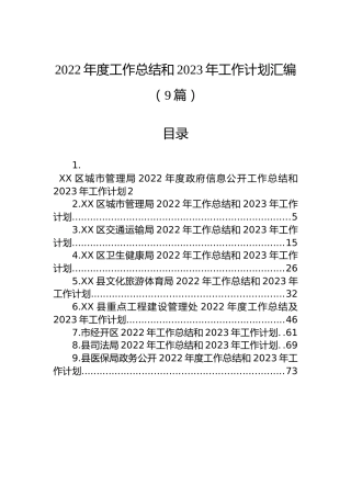2022年度工作总结和2023年工作计划汇编（9篇）