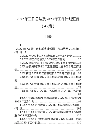 2022年工作总结及2023年工作计划汇编（45篇）