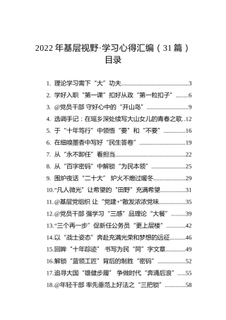 2022年基层视野·学习心得汇编（31篇）