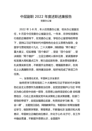 学院中层副职2022年度述职述廉报告汇编（38篇）