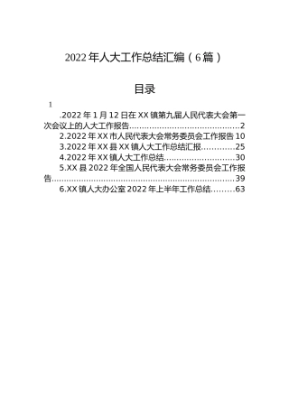2022年人大工作总结汇编（6篇）