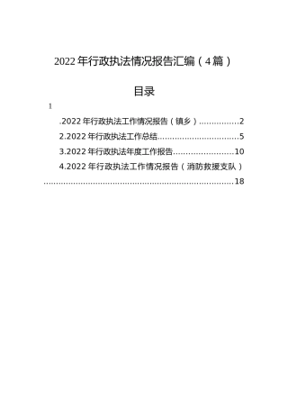 2022年行政执法情况报告汇编（4篇）
