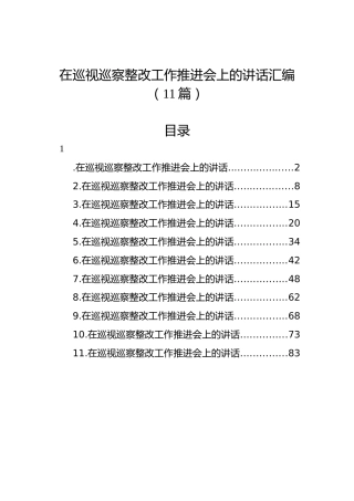 在巡视巡察整改工作推进会上的讲话汇编（11篇）