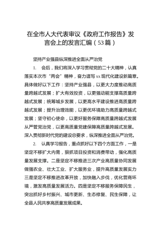 在全市人大代表审议《政府工作报告》发言会上的发言汇编（53条）
