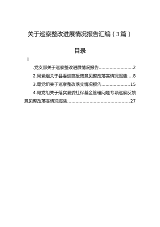 关于巡察整改进展情况报告汇编（3篇）
