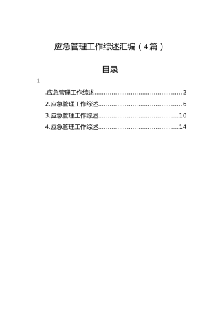 应急管理工作综述汇编（4篇）