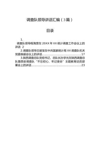 调查队领导讲话汇编（3篇）