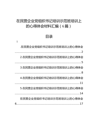 在民营企业党组织书记培训示范班培训上的心得体会材料汇编（6篇）