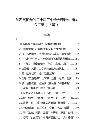 学习贯彻党的二十届三中全会精神心得体会汇编（18篇）