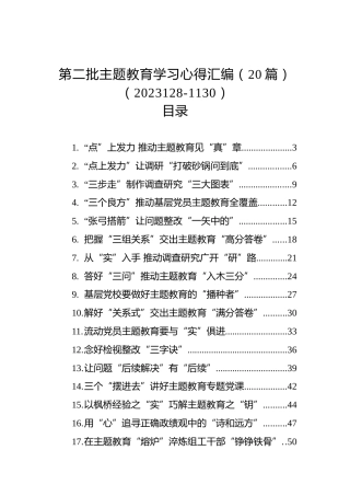 第二批主题教育学习心得汇编（20篇）（2023128-1130）
