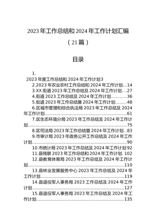2023年工作总结和2024年工作计划汇编（21篇）