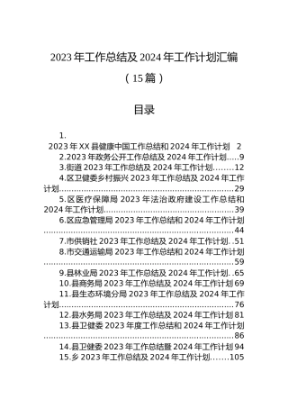 2023年工作总结及2024年工作计划汇编（15篇）