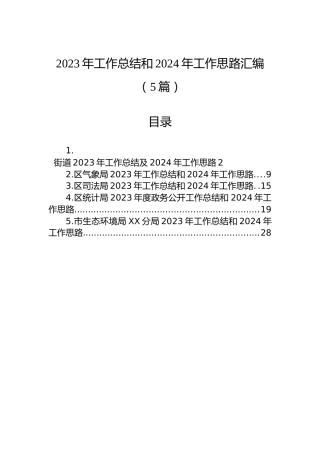 2023年工作总结和2024年工作思路汇编（5篇）