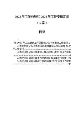 2023年工作总结和2024年工作安排汇编（5篇）