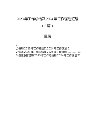 2023年工作总结及2024年工作谋划汇编（3篇）