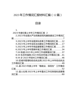 2023年工作情况汇报材料汇编（12篇）