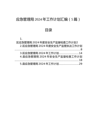 应急管理局2024年工作计划汇编（5篇）