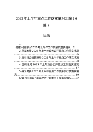 2023年上半年重点工作落实情况汇编（6篇）