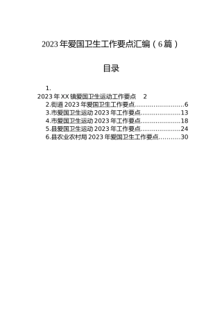 2023年爱国卫生工作要点汇编（6篇）