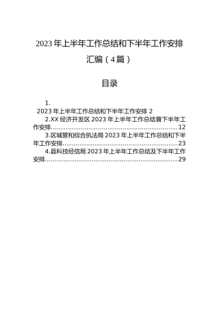 2023年上半年工作总结和下半年工作安排汇编（4篇）