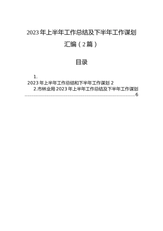 2023年上半年工作总结及下半年工作谋划汇编（2篇）