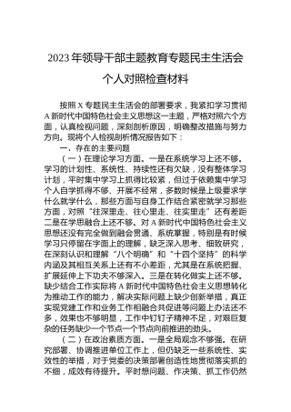 2023年领导干部主题教育专题民主生活会个人对照检查材料