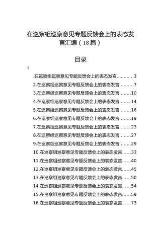 在巡察组巡察意见专题反馈会上的表态发言汇编（18篇）