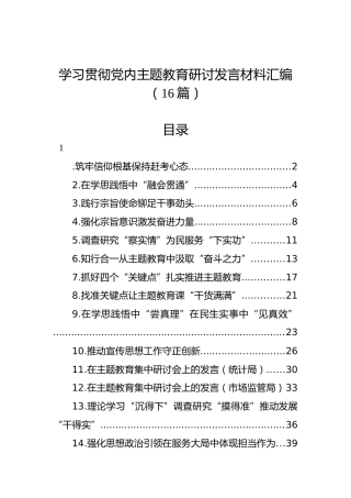 学习贯彻党内主题教育研讨发言材料汇编（16篇）