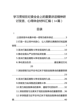 学习贯彻在纪委全会上的重要讲话精神研讨发言、心得体会材料汇编（14篇）