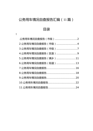 公务用车情况自查报告汇编（11篇）