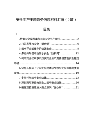 安全生产主题政务信息材料汇编（9篇）