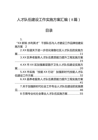 人才队伍建设工作实施方案汇编（8篇）