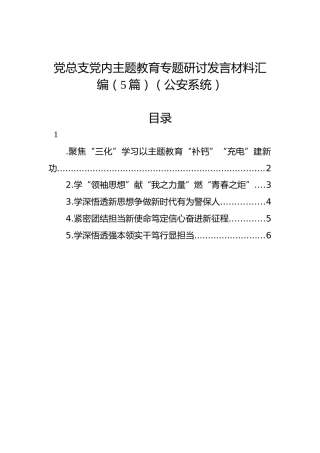 党总支主题教育专题研讨发言材料汇编（5篇）（公安系统）