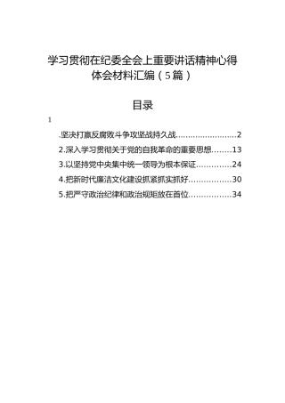 学习贯彻在纪委全会上重要讲话精神心得体会材料汇编（5篇）