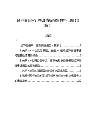 经济责任审计整改情况报告材料汇编（5篇）