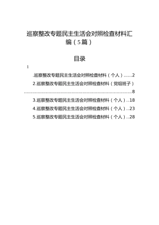 巡察整改专题民主生活会对照检查材料汇编（5篇）