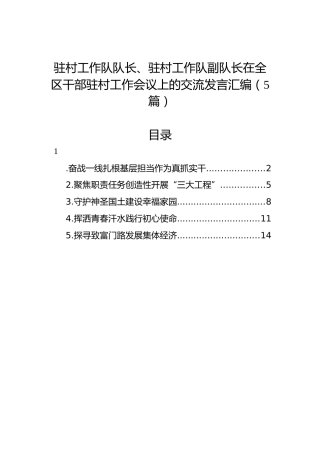 驻村工作队队长、驻村工作队副队长在全区干部驻村工作会议上的交流发言汇编（5篇）