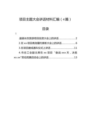 项目主题大会讲话材料汇编（4篇）
