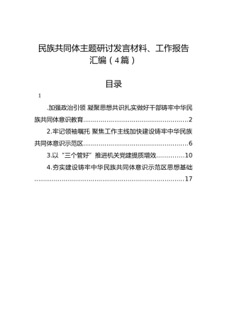 民族共同体主题研讨发言材料、工作报告汇编（4篇）