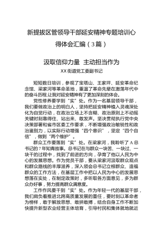 新提拔区管领导干部延安精神专题培训心得体会汇编（3篇）