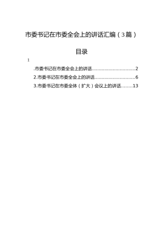 市委书记在市委全会上的讲话汇编（3篇）